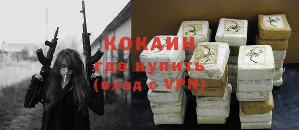 индика Балабаново