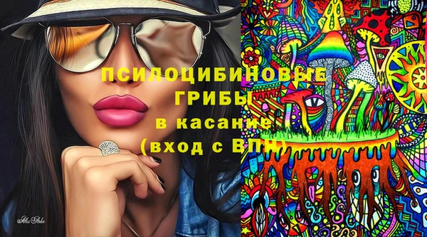индика Балабаново