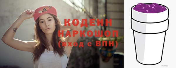 индика Балабаново