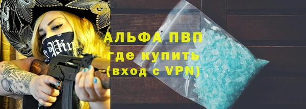 индика Балабаново