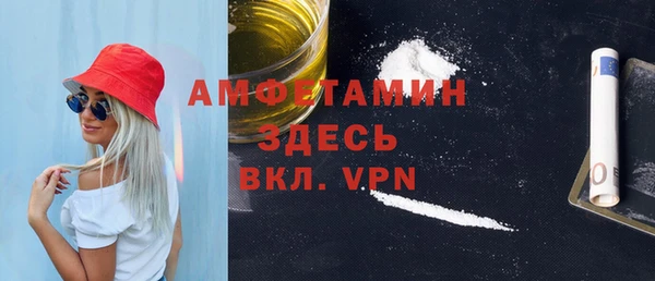 индика Балабаново